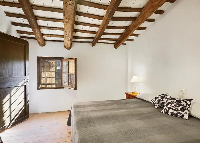 El Mas Pla Kır Evi *