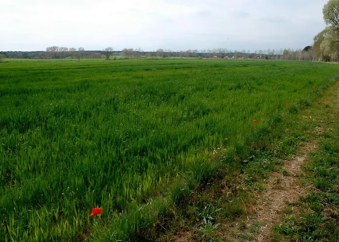 El Mas Pla Séjour à la campagne Caldes de Malavella