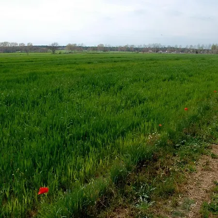 El Mas Pla Casa rural Caldes de Malavella